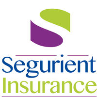Image: Segurient Insurance Logo